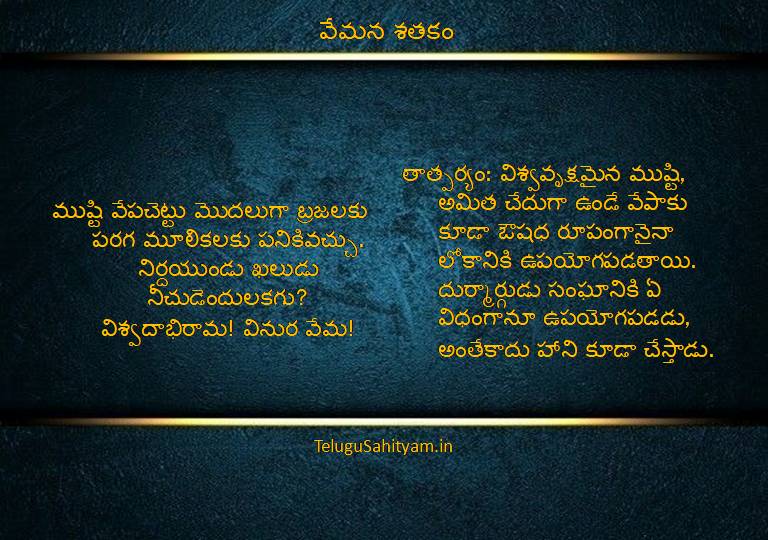 ముష్టి వేపచెట్టు మొదలుగా బ్రజలకుపరగ మూలికలకు పనికివచ్చు.నిర్దయుండు ఖలుడు నీచుడెందులకగు?విశ్వదాభిరామ! వినుర వేమ!
